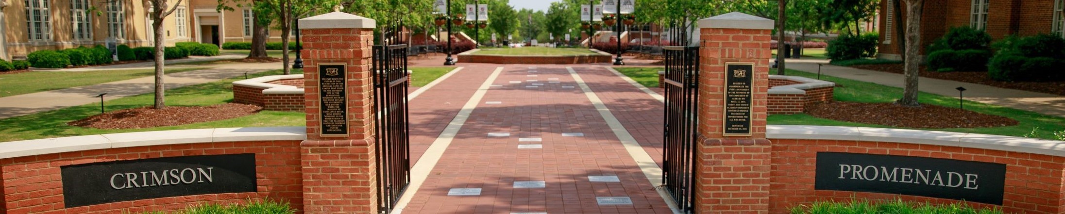 Crimson Promenade